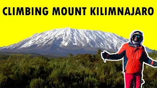 Climbing Mount Kilimanjaro In 2021 (PART 1 Marangu Route) - Kilimanjaro Expedition