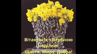 Вітаю з Вербною неділею!