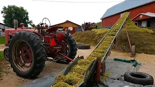 Could That Pile Get Any BIGGER? Chopping Corn Silage 2023!