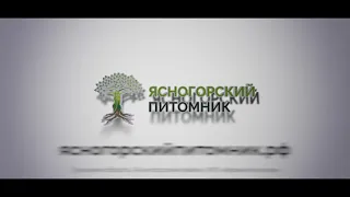 Отборные сорта вишни - видео обзор из питомника
