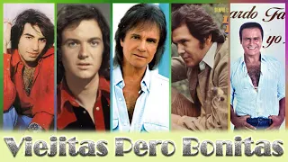 PALITO ORTEGA, SANDRO, LEO DAN, LEONARDO FAVIO EXITOS Sus Mejores Canciones