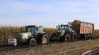 The maize battle! | Krone Big X 850 on tracks | Fendt 930, MF 8680, NHT7.270 | De Bruyne