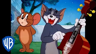 Tom y Jerry en Latino | ¡Feliz Año Nuevo! ✨ | WB Kids
