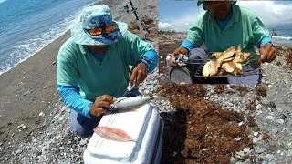 Surf fishing & cooking what we catch on the beach 🇯🇲