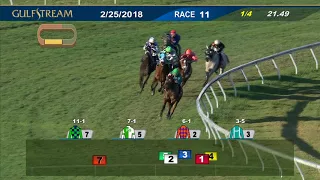 Gulfstream Park Race 11 | February 25, 2018