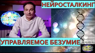 САТСАНГ - НОВИЗНА ПОВСЕДНЕВНОСТИ / ПЕРЕСТРОЙКА ПАМЯТИ/