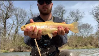 Euro Nymphing for Trout in north east Pa (Surprise Catch)