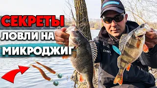 😳 5 Ошибок при ловле на Микроджиг. Как ловить ОКУНЯ на ультралайт!?