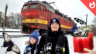 Winter trains, fun and our butterflies