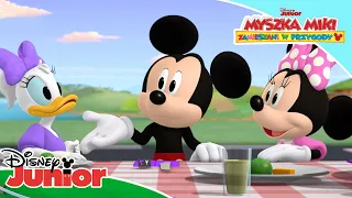 🥳 Wyścig Dziękczynny Mikiego! | Myszka Miki: Zamieszani w przygody | Disney Junior Polsk