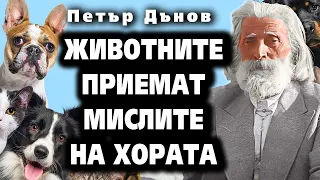 Животните приемат мислите на хората 🐱 ~ Петър Дънов ~🎧 аудио книга ~ Акордиране на човешката душа #8