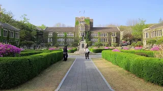 Yonsei University Campus Tour on a Sunny Spring Day 4K Virtual Tour