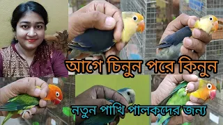 Identification of love bird