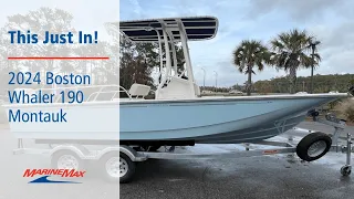 This Just In! 2024 Boston Whaler 190 Montauk Boat For Sale at MarineMax Charleston, SC
