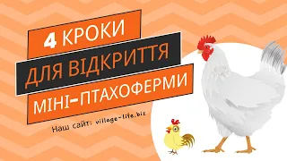 🏡 Мрієте про власну міні птахоферму? Дізнайтеся, як реалізувати цю ідею з нуля! 🚀