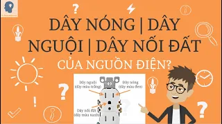 Giải thích dây nóng, dây nguội và dây nối đất của nguồn điện là gì?| Tri thức nhân loại