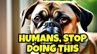 20 Human Actions Dogs Hate The Most