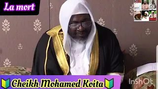 cheikh Mohamed  koita