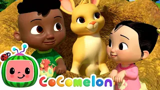 Cody and Cece's Nature Walk | CoComelon - Cody's Playtime | Songs for Kids & Nursery Rhymes