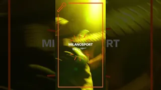 MILANOSPORT - Italy, Rock - Band of the Day