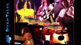 YES Live 1974Cobo Hall Detroit