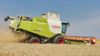 Žně - pšenice 2020 | Harvest 2020 - Claas Lexion 760, 670 / John Deere 8330, 8420, 8300