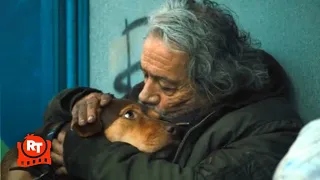 A Dog's Way Home - A Homeless Dog Scene