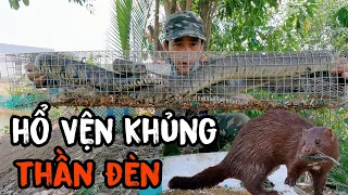 Thăm bẫy rắn trúng lớn toàn là hàng khủng