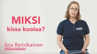 Miksi kissa kuolaa? Eläinlääkäri vastaa!