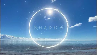 ALEKSEEV - П'яне сонце (Shad0w Remix)