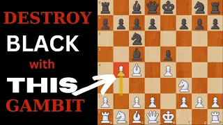 The MOST Aggressive Gambit for White