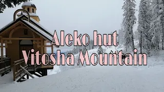 Part 1| Aleko Hut Vitosha Mountain | Bulgaria 🇧🇬