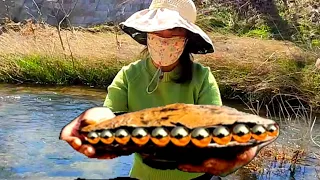 Rivers and seas are full of pearl shellfish, how do you find them?