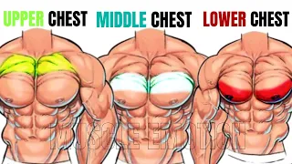TOP 5 INNER ,LOWER AND UPPER CHEST WORKOUT WITH DUMBBELLS ONLY