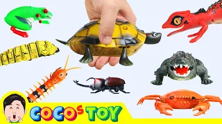 Super creepy toys collection R/Cㅣanimals cartoon, animals names for childrenㅣCoCosToy