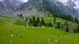 Beauty of Khyber Pakhtunkhwa KPK  4k #kpk #history