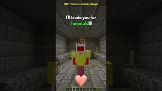 POV: You're a Villager in Minecraft