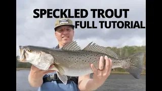 HOW TO CATCH SPECKLED TROUT (Sea Trout) - TUTORIAL and EVERYTHING TO KNOW