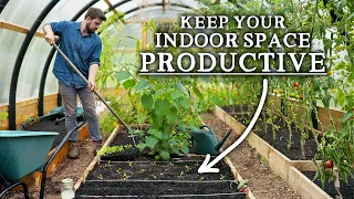 Tips to Maximize Undercover Growing over Winter