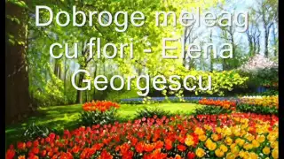 Dobroge meleag cu flori   Elena Georgescu