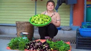 Harvest garden vegetables, eggplants, spinach to sell in the market, Grow sweet potatoes on the farm