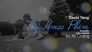 Txoj Hmoo Phem - Ali Chang (Acoustic Instrumental) (David Yang)