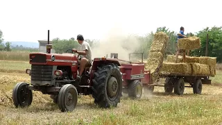 Massey Ferguson 165 | International 435 D