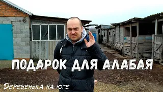 Подарок для Алабая / Мойка машины / Живём в своем доме на Юге / Питерцы