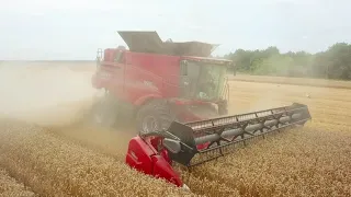 CASE IH 7250 з інтелектуальною системою AFS Harvest Command™