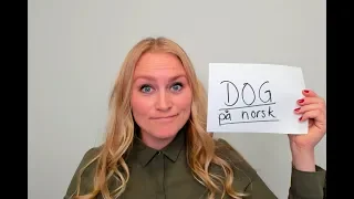 Video 701 Hva betyr DOG på norsk?