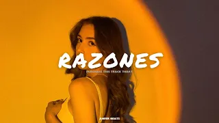 Feid, Mora Type Beat | RAZONES | Reggaeton Type Beat 2023💚
