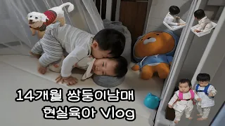 14개월 쌍둥이 현실육아 브이로그