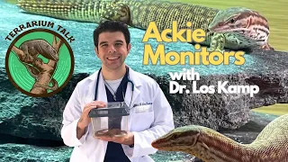 Terrarium Talk: Ep.1 Keeping Ackie Monitors | Eric Los Kamp DVM
