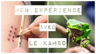 Kambo: mon expérience...